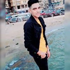 Amr Sapry