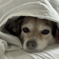 fav hip-hop in russian