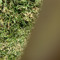 Benzo