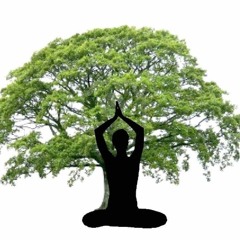 Holistic Alameda
