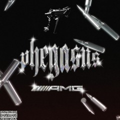 PHEGASUS AMG