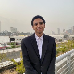 Ahmed Essam
