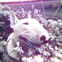 Олар құлдың аузына ауыр тиді