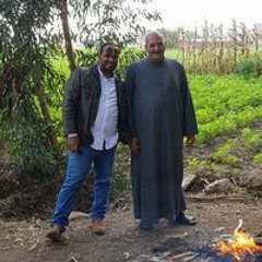 محمد السايس ابو احمد