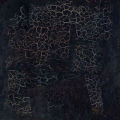 Vincent van Spaendonk