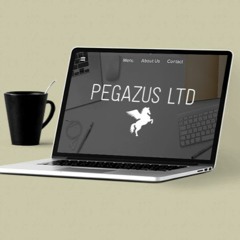 Pegazus CEO of Line Wave Music