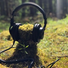 Nature Sounds Of Scandinavia