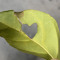 1of_akind