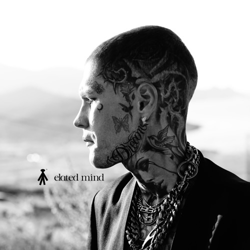 Elated Mind initial conditions