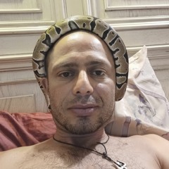 DMT