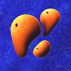 porifera