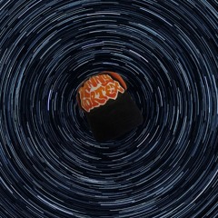 Daniel Vortex