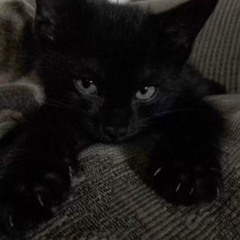 ☭𝓟𝓸𝓭𝓿𝓪𝓵☭