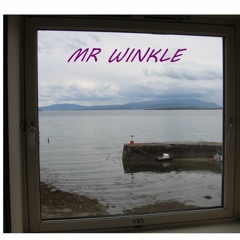 MR WINKLE