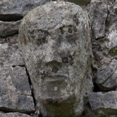 Dirkstein26