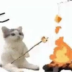¢
