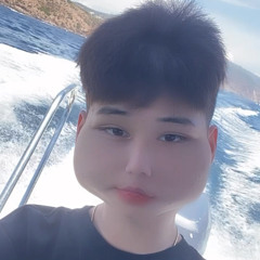 Nguywn Huy