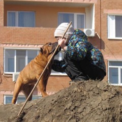payk.bogdan