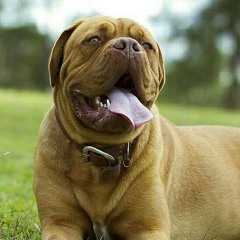 «Отстойник»