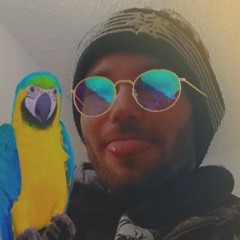Drake Schaefering