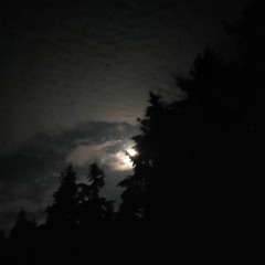 Anonym-e-lectroMouse