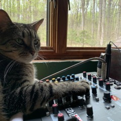 cats on my gear