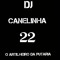 DJ CANELINHA 22 O ARTILHEIRO DA PUTARIA 😎🚀