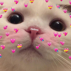je me tue