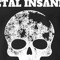 Metal Insanity666