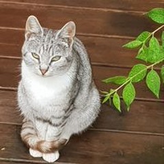 Emilia Marie Ingegerd Andersson