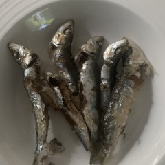 asprompourmpoulis