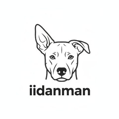 iidanmanii