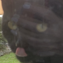 millie<3