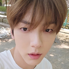 ☆*:.｡. o🪷☆彡🏯o .｡.:*☆