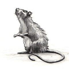 rattharappercookinfr