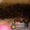 xoxkira