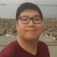 Robin Wijaya
