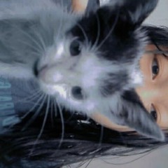 teshi