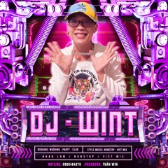 VIETMIX2025-LONG KHÁNH BUỒN -WINT