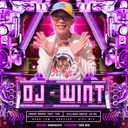 VIETMIX2025-LONG KHÁNH BUỒN -WINT