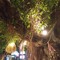 Banyan