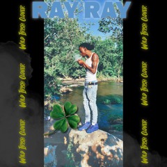 Ray’Ray The Artist