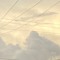 Home Skies