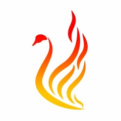 Blazing Swan