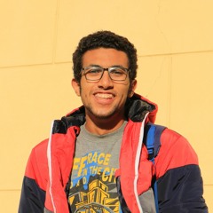 ziad mohamed