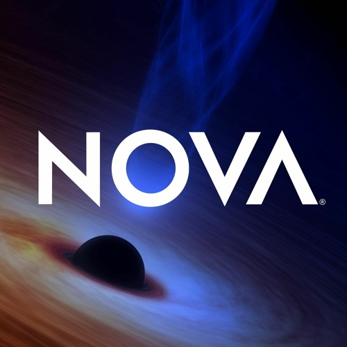 Nova Motion’s avatar