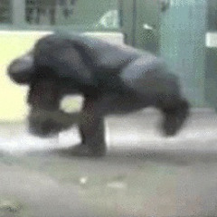 SpinningMfGorilla