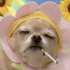 nikkthom