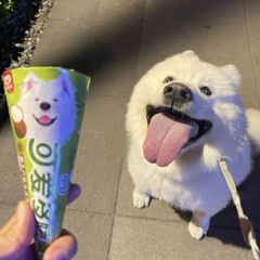 nekko.uwu