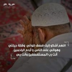 Alsharif Babiker
